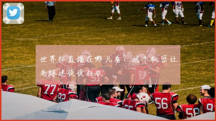 世界杯直播在哪儿看？这个秘密让老球迷夜夜狂欢