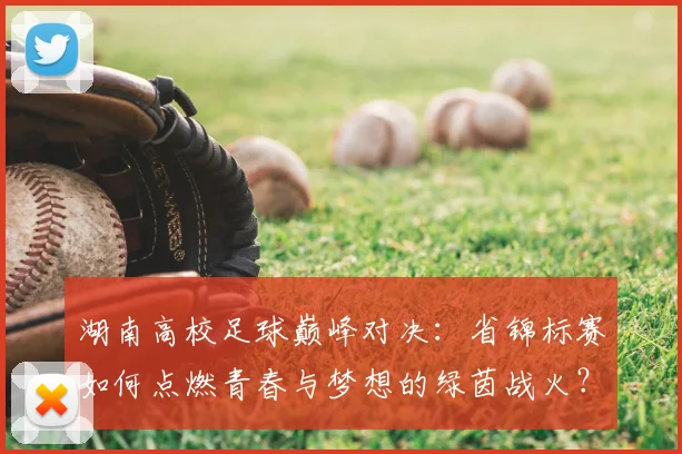 湖南高校足球巅峰对决：省锦标赛如何点燃青春与梦想的绿茵战火？