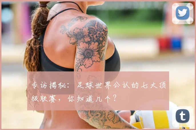 专访揭秘：足球世界公认的七大顶级联赛，你知道几个？