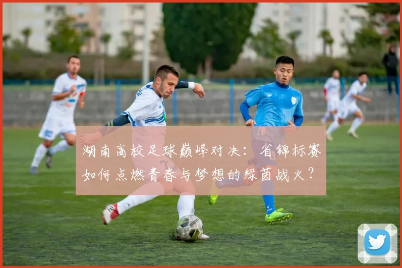 湖南高校足球巅峰对决:省锦标赛如何点燃青春与梦想的绿茵战火?